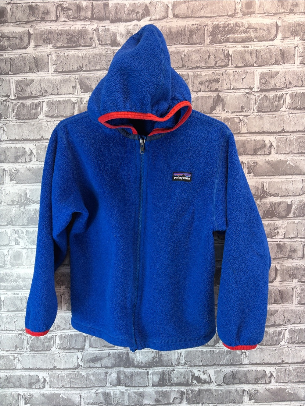Patagonia Kids Royal Blue Fleece Hoodie with Red Trim